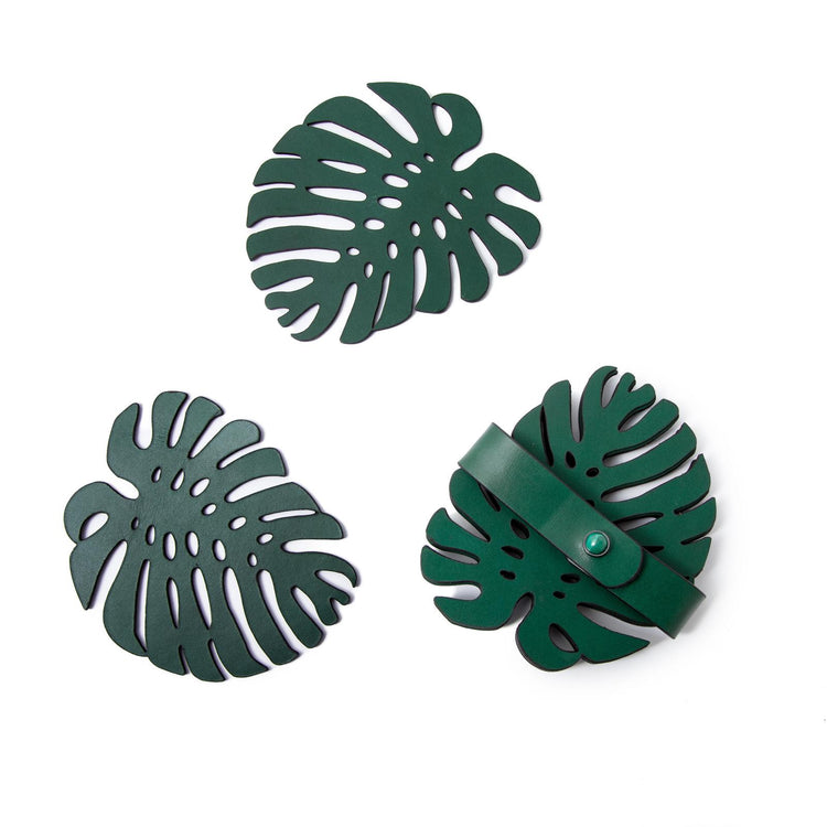 Curiosity Coasters – Leaf | Set of 6